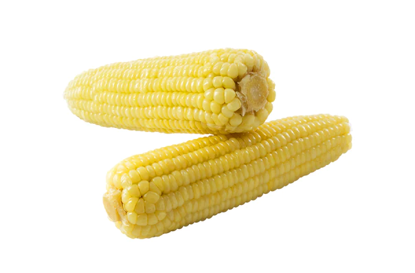 6070a0ce-4b95-420a-a67d-e7cdaeaaf8ae.png